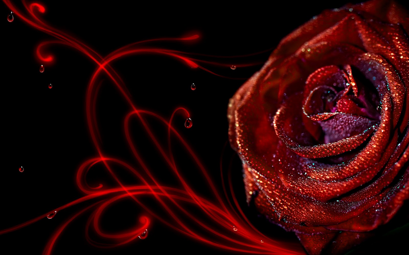 hd-abstract-rose-1600x1000.jpg