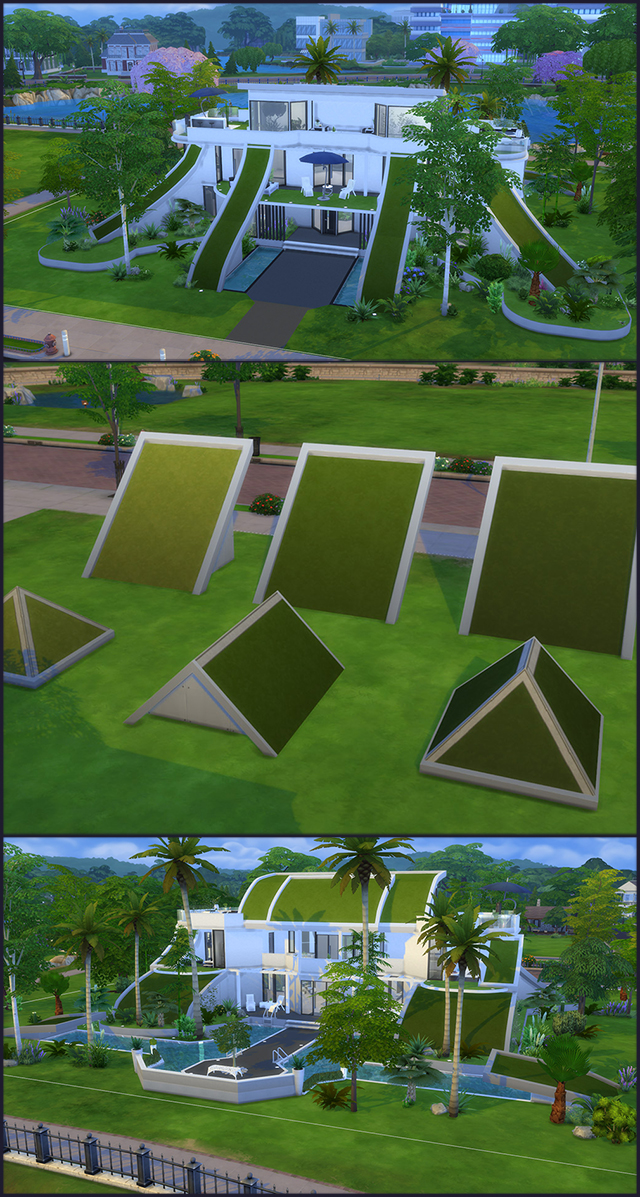 All Grass roof.jpg
