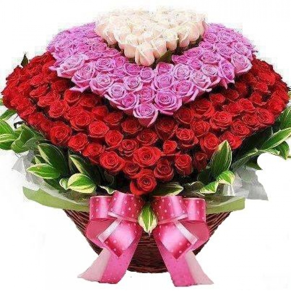kosnica-syrca-rozi-1000x1000.jpg