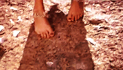 tumblr_oel6q20ppu1u7dw63o7_250.gif