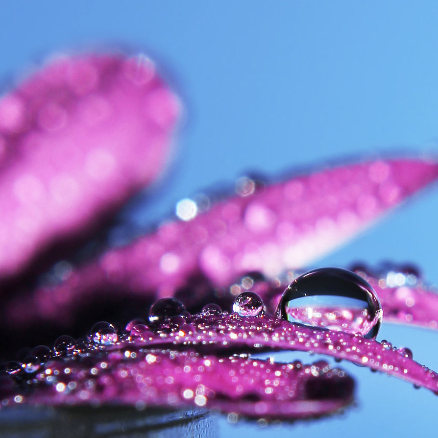 sparkle_by_kara_a-d59jfvu.jpg