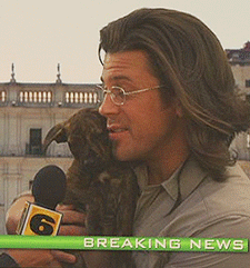 316 tumblr_n16j0q0Efb1rjpg23o6_r3_250 4.gif