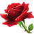 666772.png