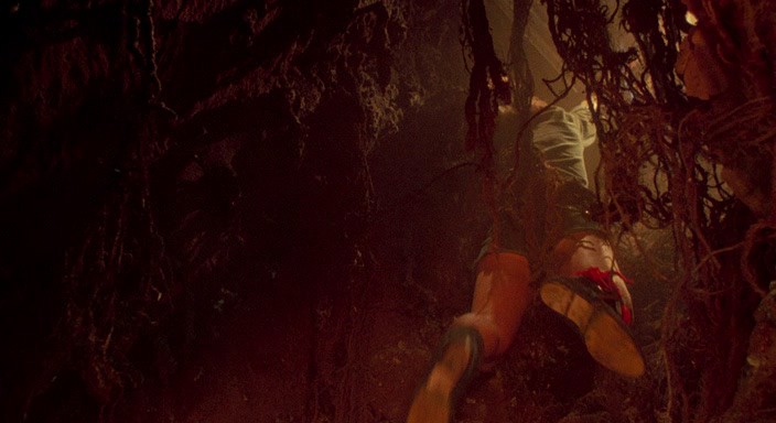 Texas.Chainsaw.Massacre.2.1986.hdrip_[1.46][(073964)20-20-42].PNG