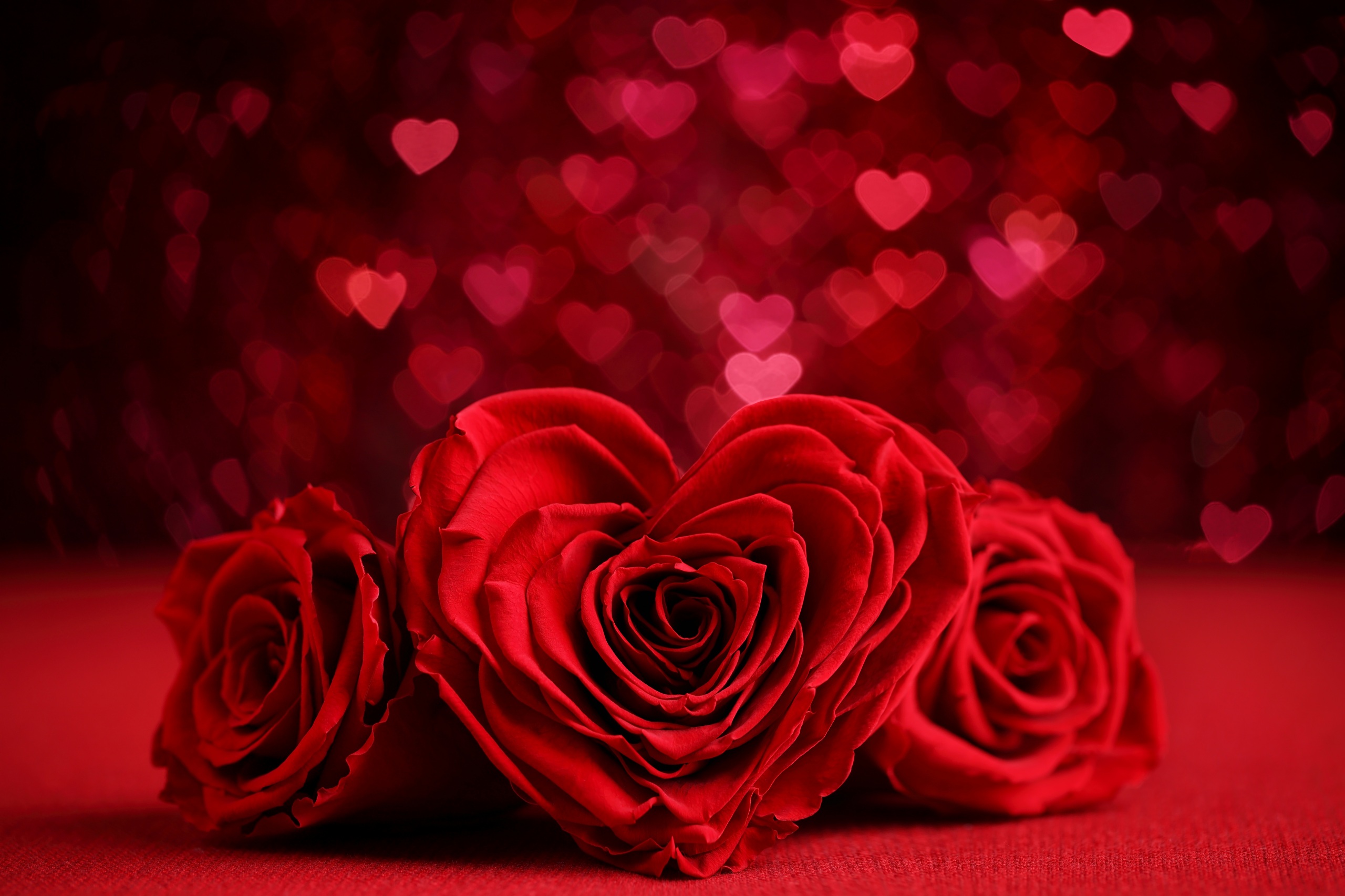 Valentine's_Day_Roses_Three_3_Red_Heart_541349_2560x1706.jpg