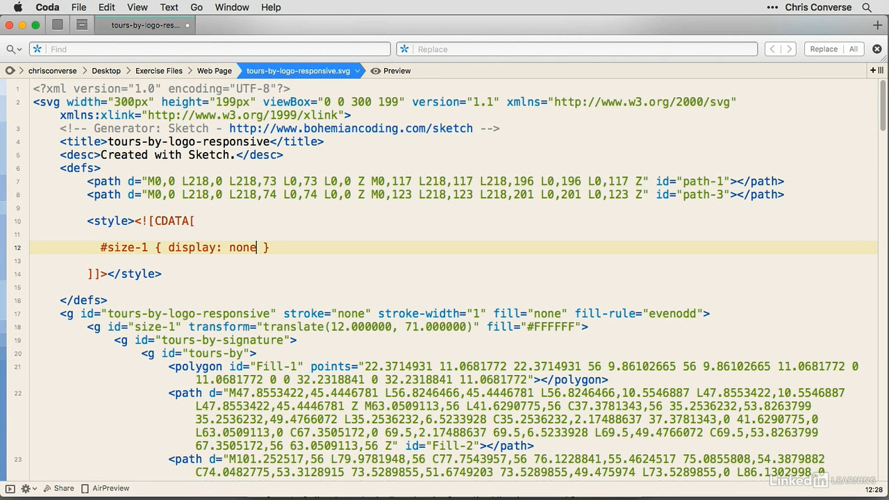 4.Adding CSS to an SVG file.jpg
