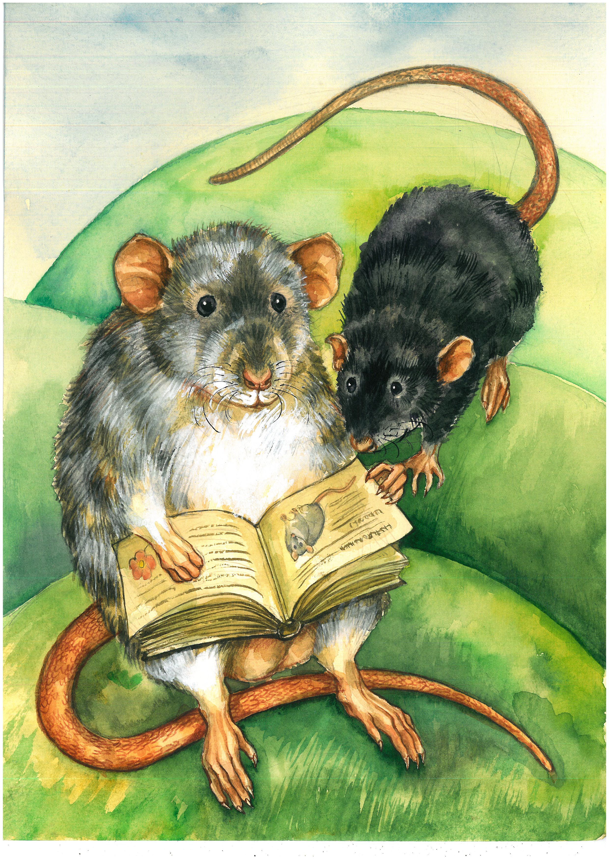 Мышь хомячков. Мышь и крыса. Хомяк и мышь. Хомячок и мышка. Крысенок и мышонок.