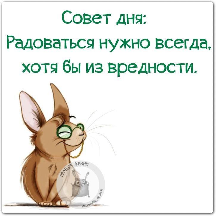 e21c339808d0.jpg