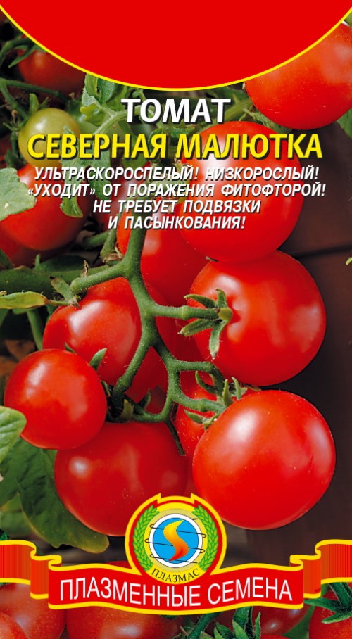 Томаты Ляна Розовая Описание Сорта Фото Отзывы