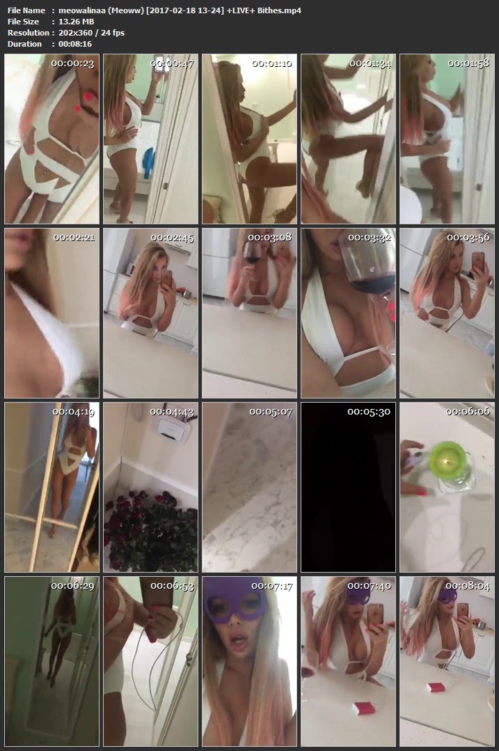 meowalinaa (Meoww) [2017-02-18 13-24] +LIVE+ Bithes.mp4.jpg