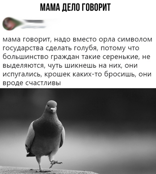 https://i5.imageban.ru/out/2019/03/23/1c9cc4b85f33311405f3f9432e498af2.jpg