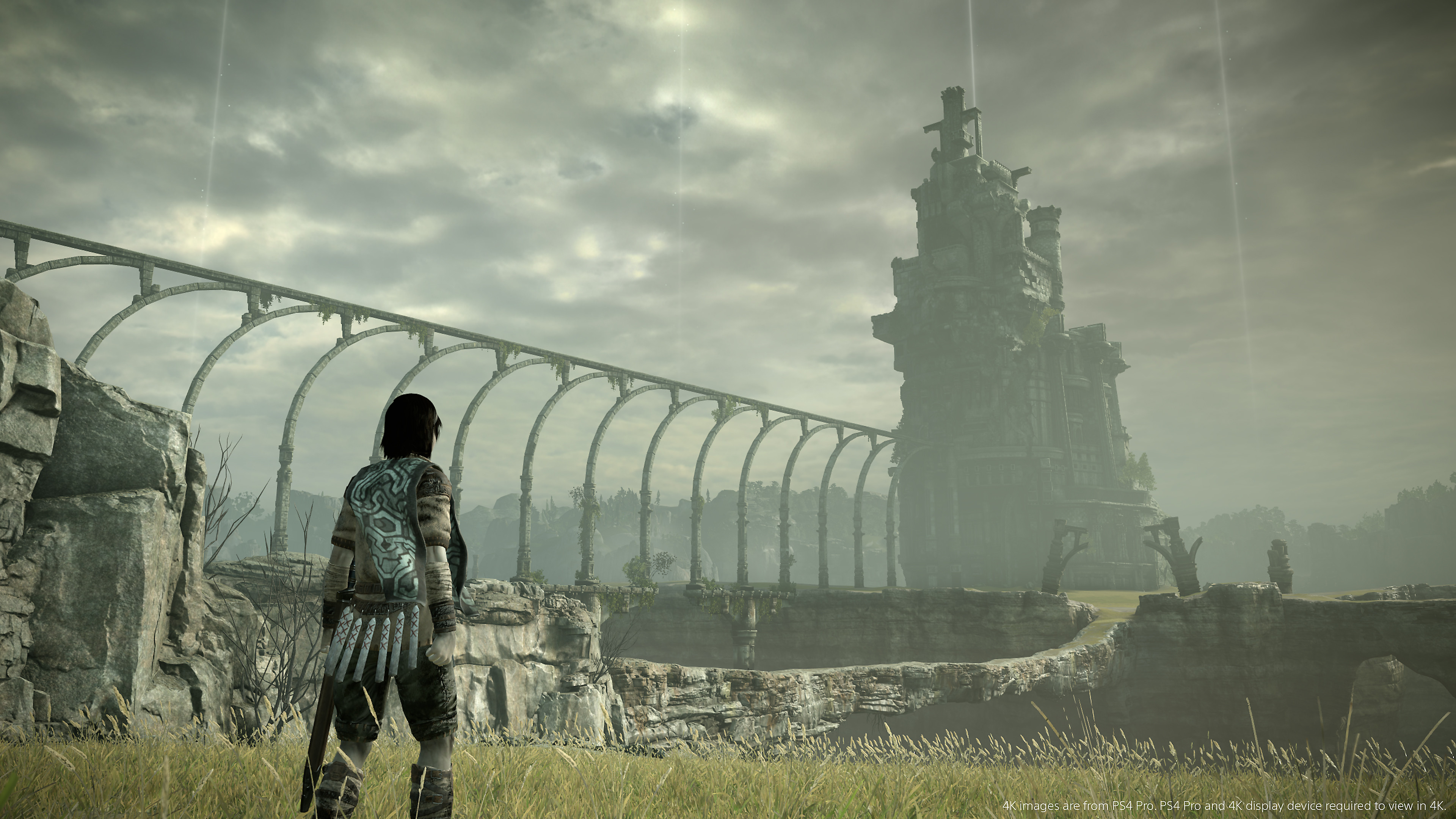 shadow-of-the-colossus-screen-06-ps4-us-30oct17$native_nt$.jpg