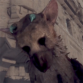 tumblr_pnrcuigiYn1t8fth0_540.gif
