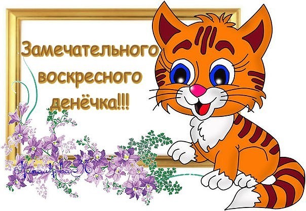 https://i5.imageban.ru/out/2019/05/19/07d8b88bc7739493570b65070a75c6a3.jpg