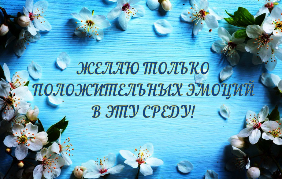 https://i5.imageban.ru/out/2019/05/29/8ec7276a04709a30b3cd36628e849472.jpg