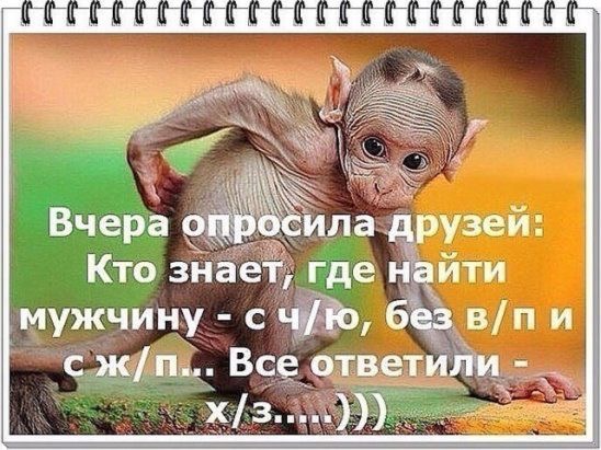 https://i5.imageban.ru/out/2019/06/25/63d056f849b6cea55be39aa03b3167e5.jpg