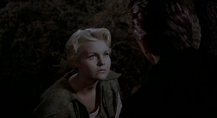 The.Last.Sunset.1961.BDRemux.1080p[(128624)18-09-49].PNG