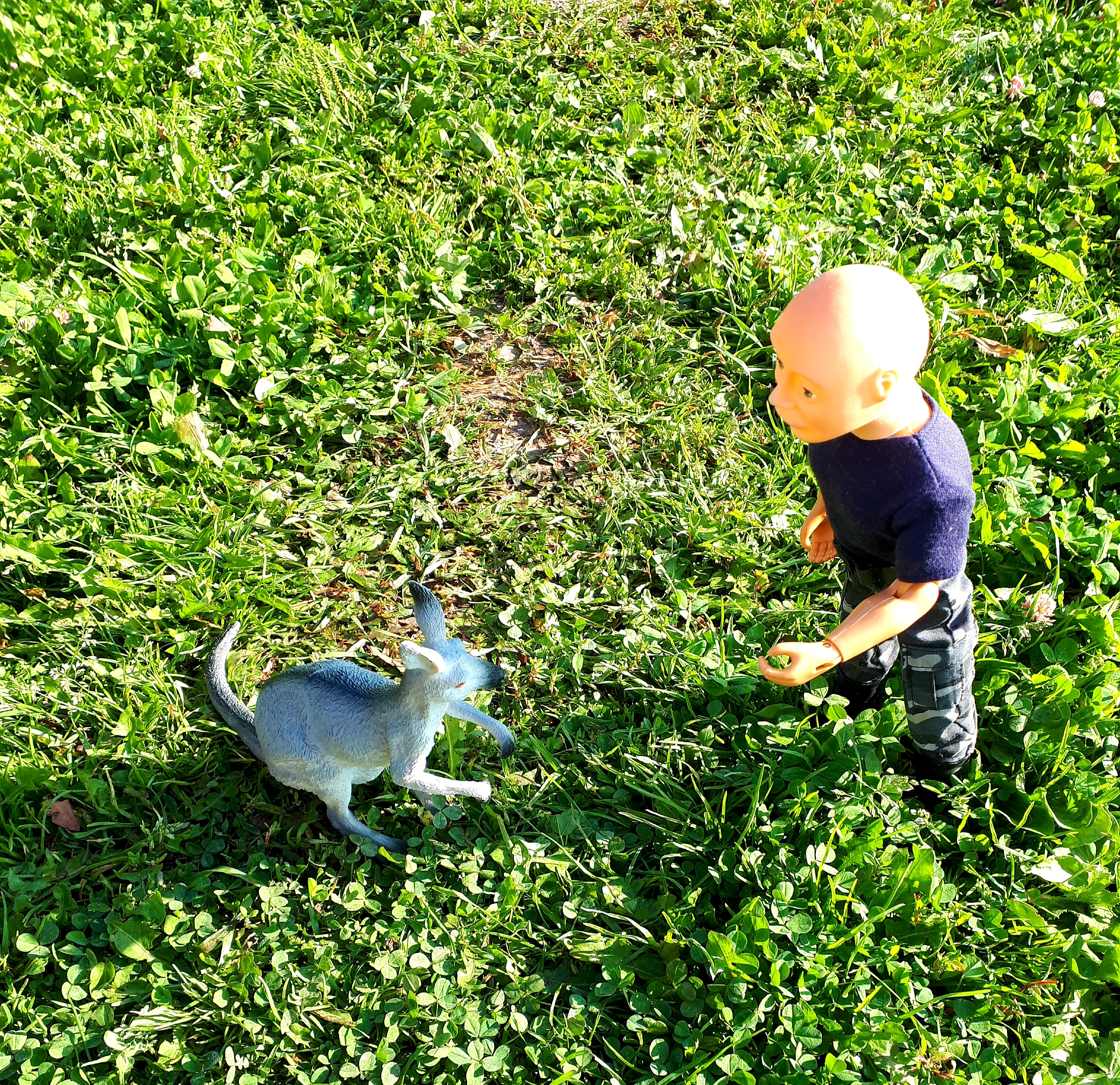 IMG-958af45d2f3a612c2b8bd6032231025e-V.jpg