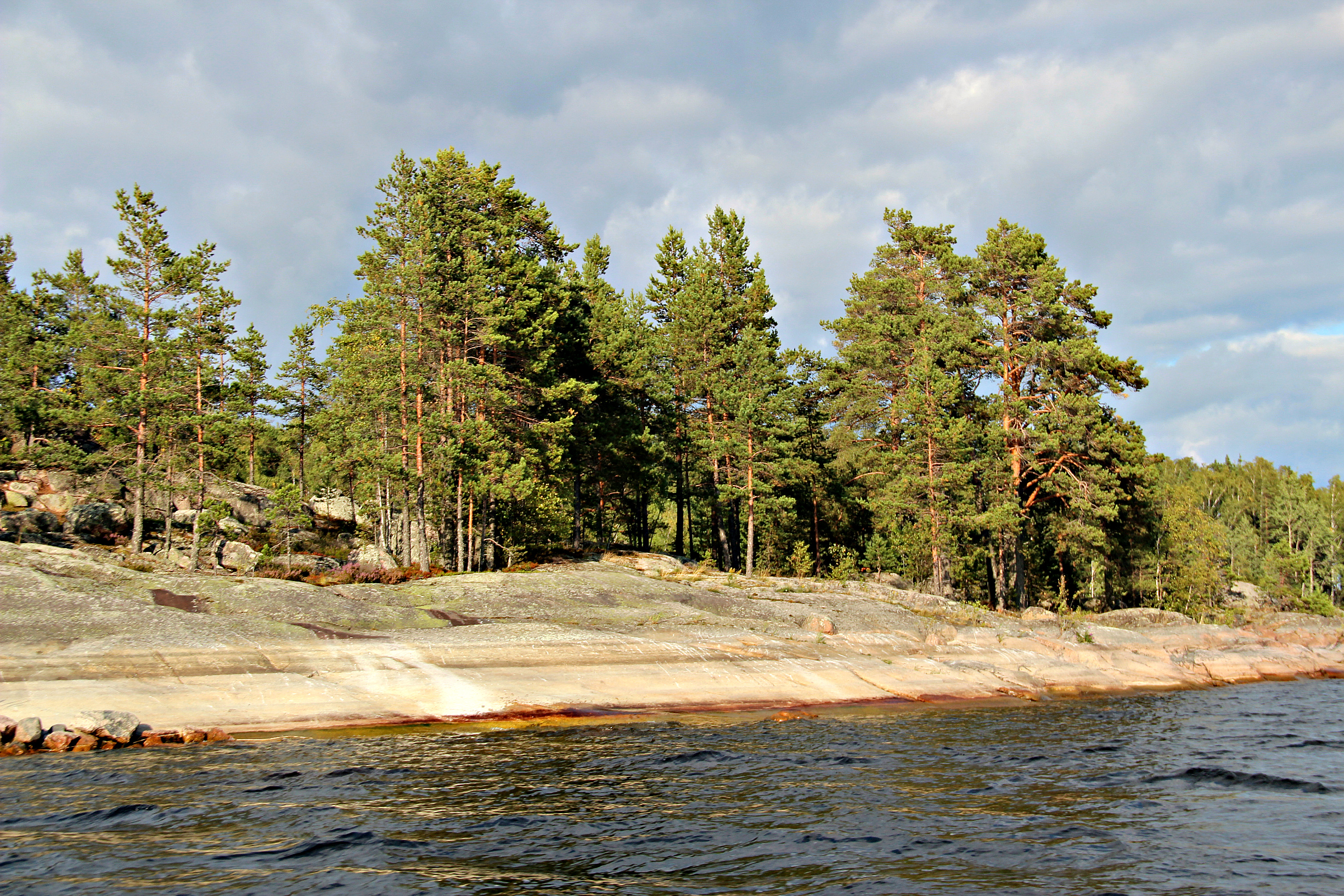 IMG_4794.jpg