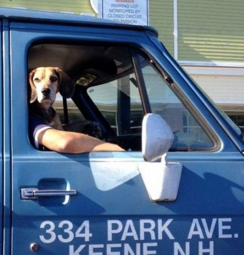 показалось