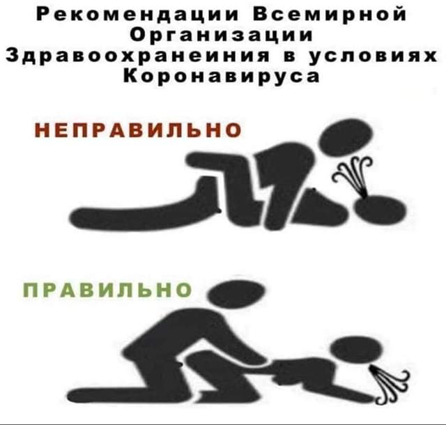 https://i5.imageban.ru/out/2020/03/14/8bde1ae3a77311651a7683e21a738d55.jpg