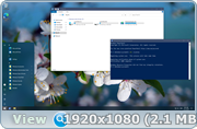 Windows 10 PRO 2004 GX v.12.04.20 (x64) (2020) =Eng=