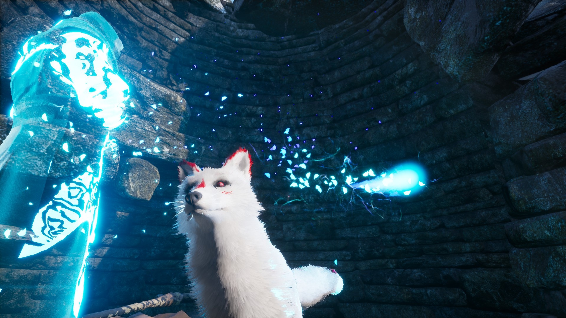 Без названия (2).jpg