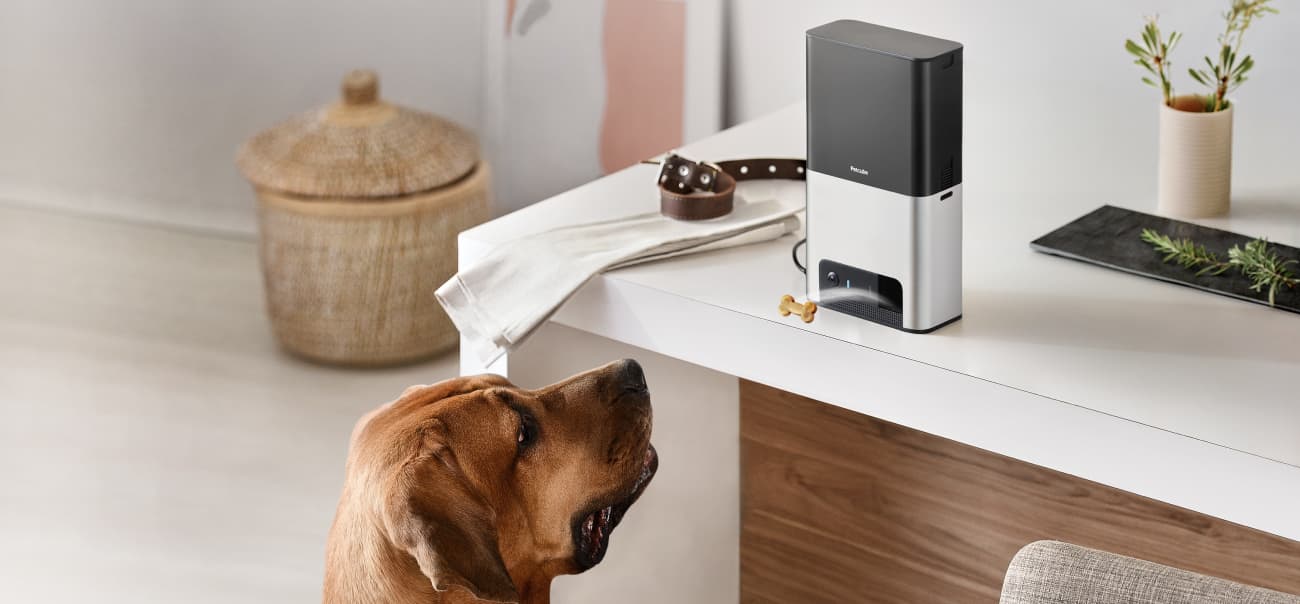 Petcube