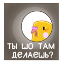 https://i5.imageban.ru/out/2020/11/24/8dde39d2c29e24aa9357f63a19136674.png