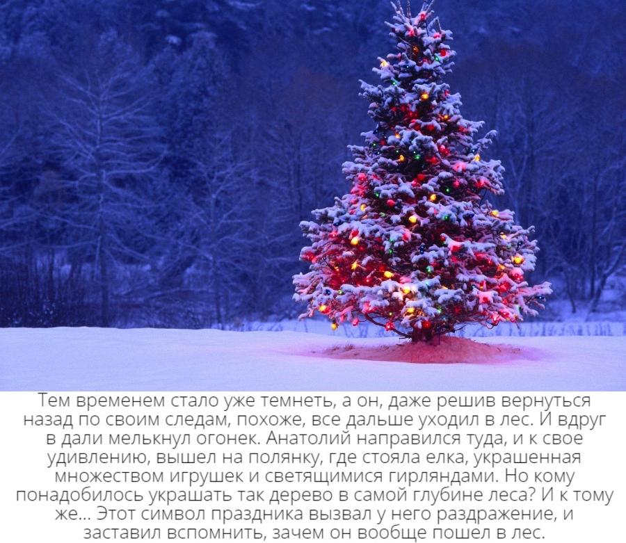 https://i5.imageban.ru/out/2020/12/19/84517b42025358aa63d2414793a3c95d.jpg
