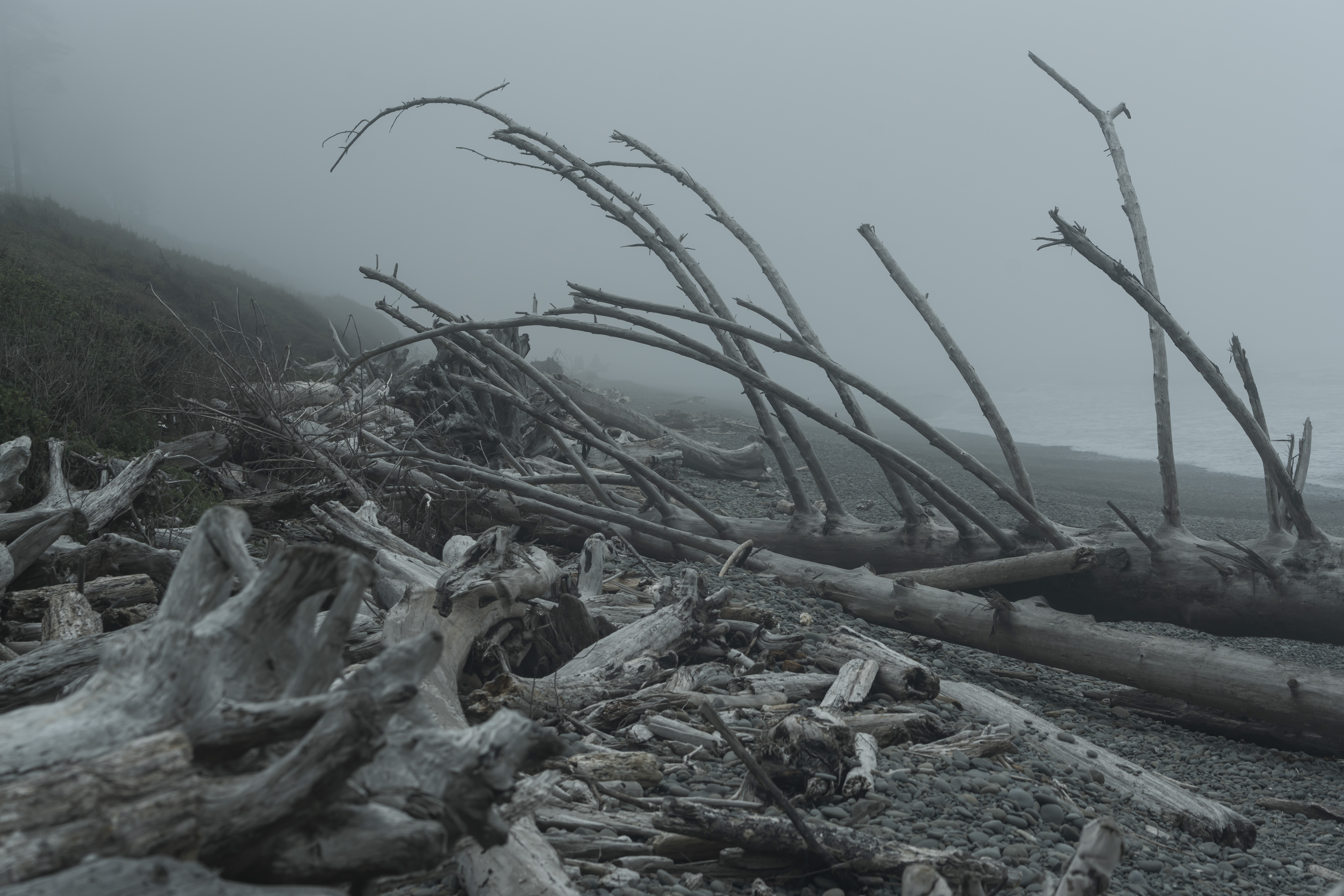 Dead Coast (233).jpg