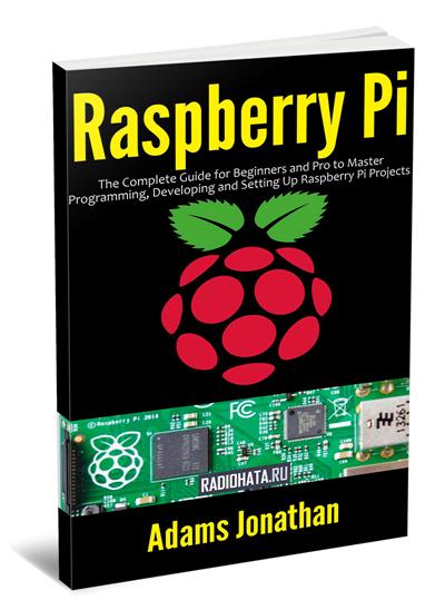 Raspberry Pi: The Complete Guide for Beginners and Pro to Master Programming, Developing and Setting up Raspberry Pi Projects