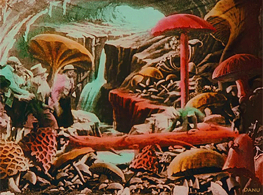 5.gif