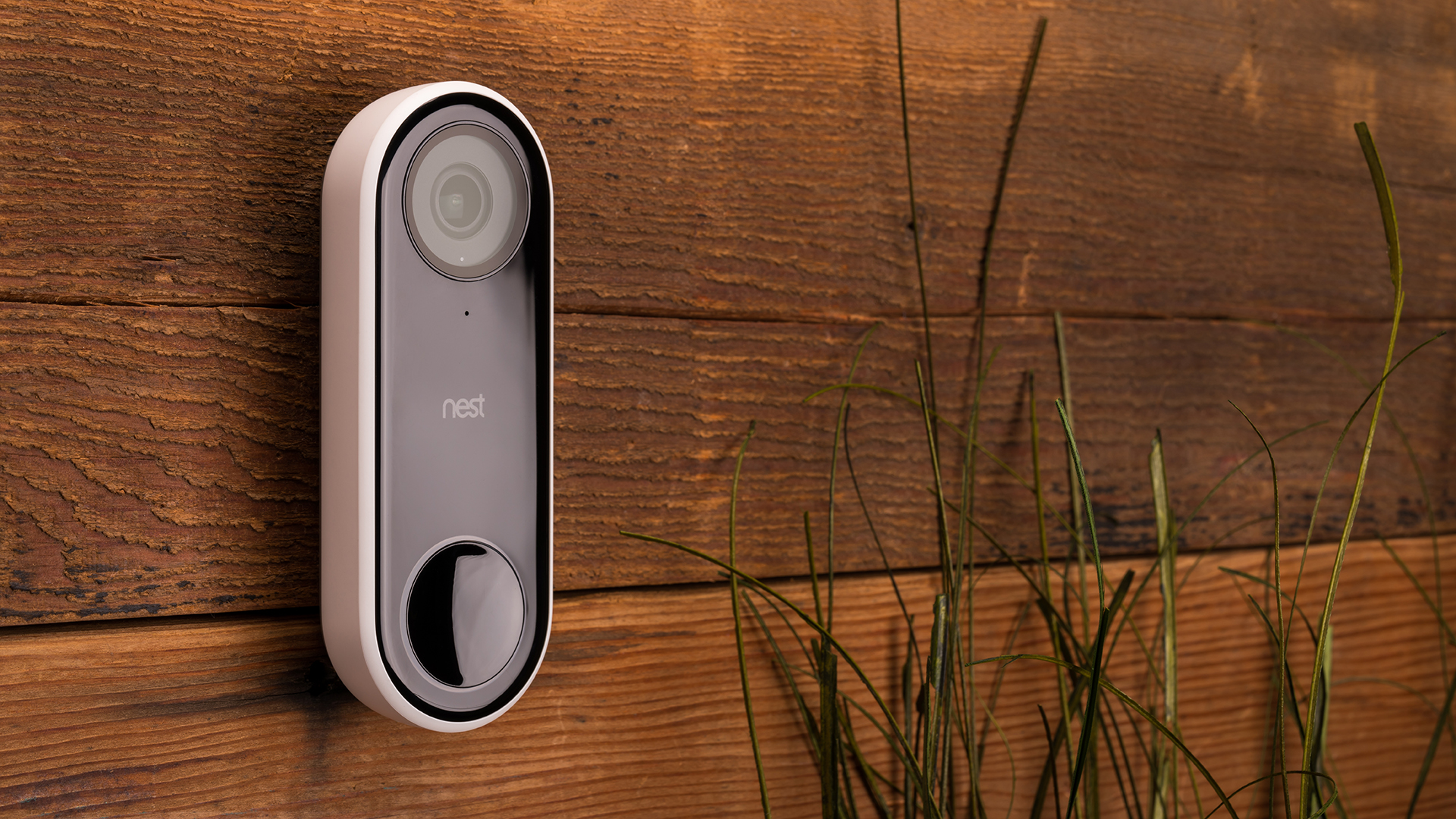 Nest Hello Nest Hello