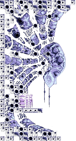 Axiom Verge (1.53, 1.58 Randomizer Beta)