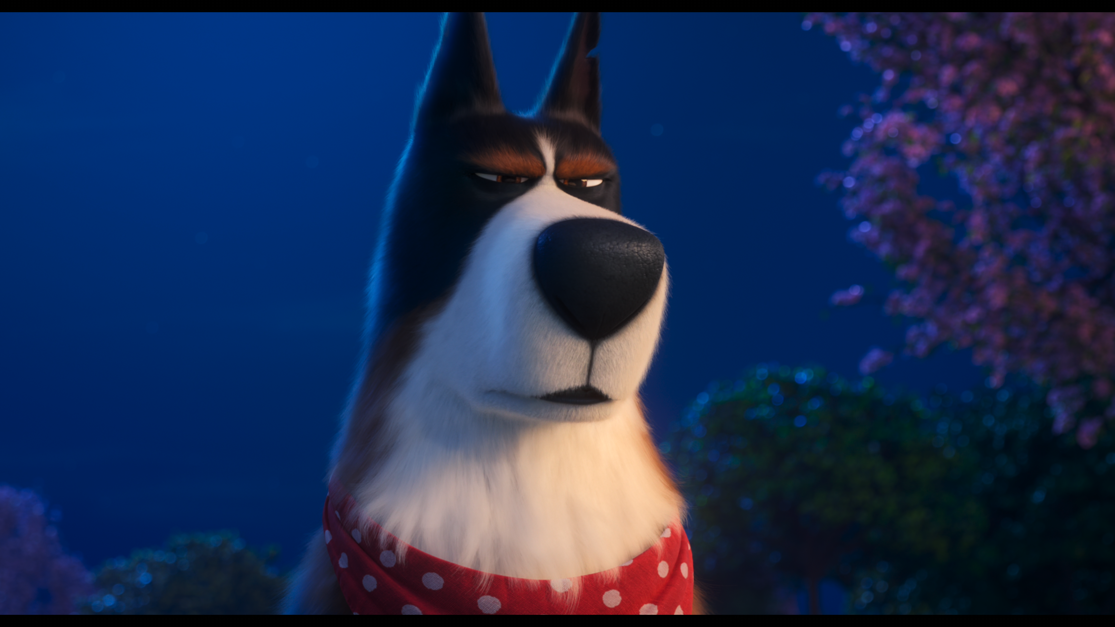 The.Secret.Life.of.Pets.2.2019.UHD.BDRemux.2160p.TrueHD.7.1.Atmos.HDR+.DoVi.by DVT.mkv_snapshot_00.29.50_[2021.10.31_21.01.44].png