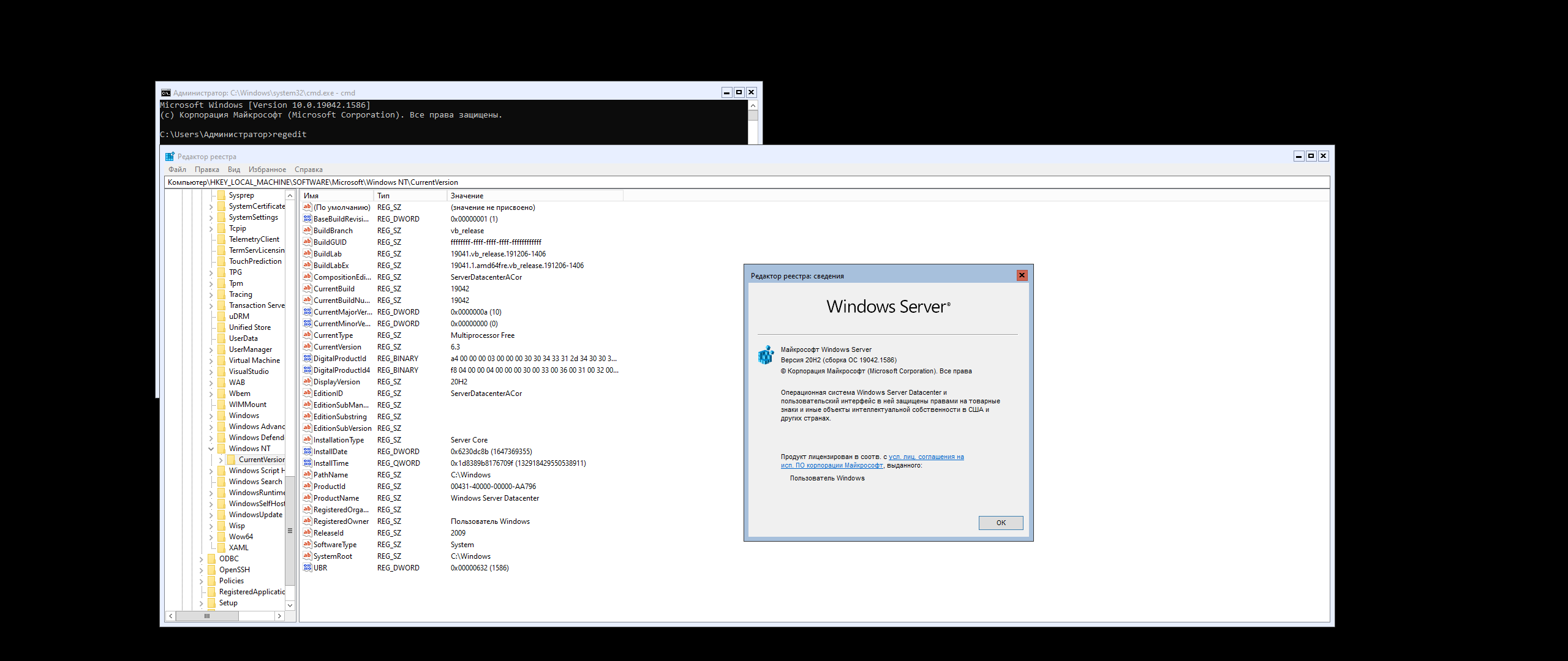 Windows Server, Version 20H2 (10.0.19042.1586) (Updated March 2022) - Оригинальные образы от Microsoft MSDN [Ru/En]