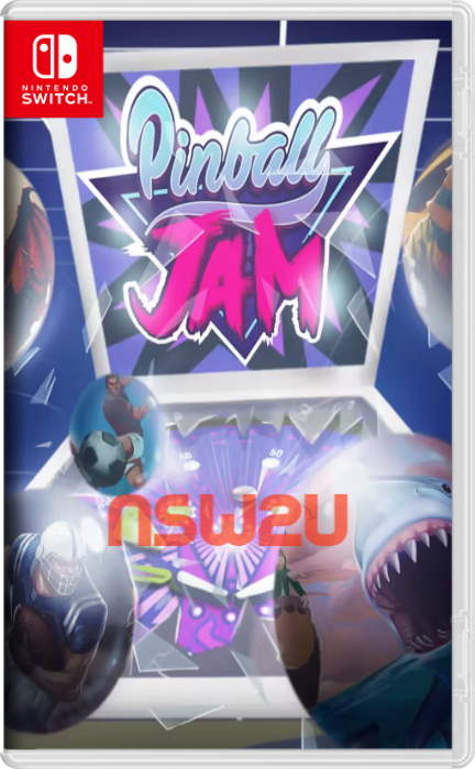 Pinball Jam Switch NSP XI NSZ