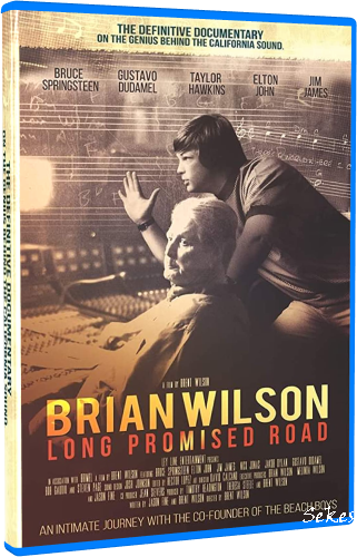 Brian Wilson - Long Promised Road (2021, Blu-ray)