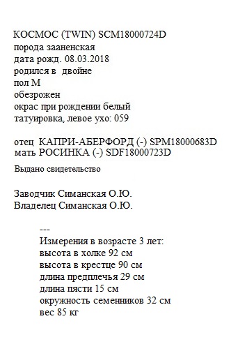 Космос анк Симанская Ольга.jpg