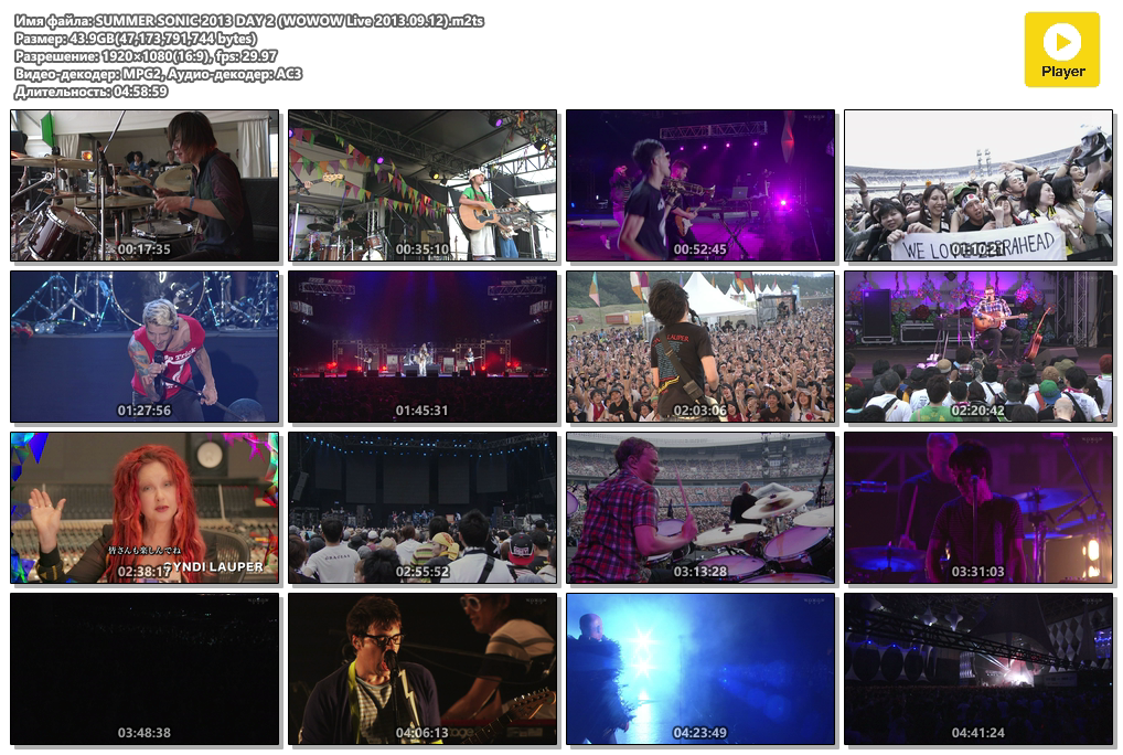 SUMMER SONIC 2013 DAY 2 (WOWOW Live 2013.09.12).m2ts.png
