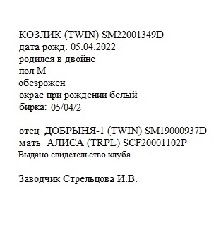 Козлик SM22001349D анк Ирина Валентиновна.jpg