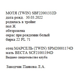 Мотя анк Людмила 65.jpg