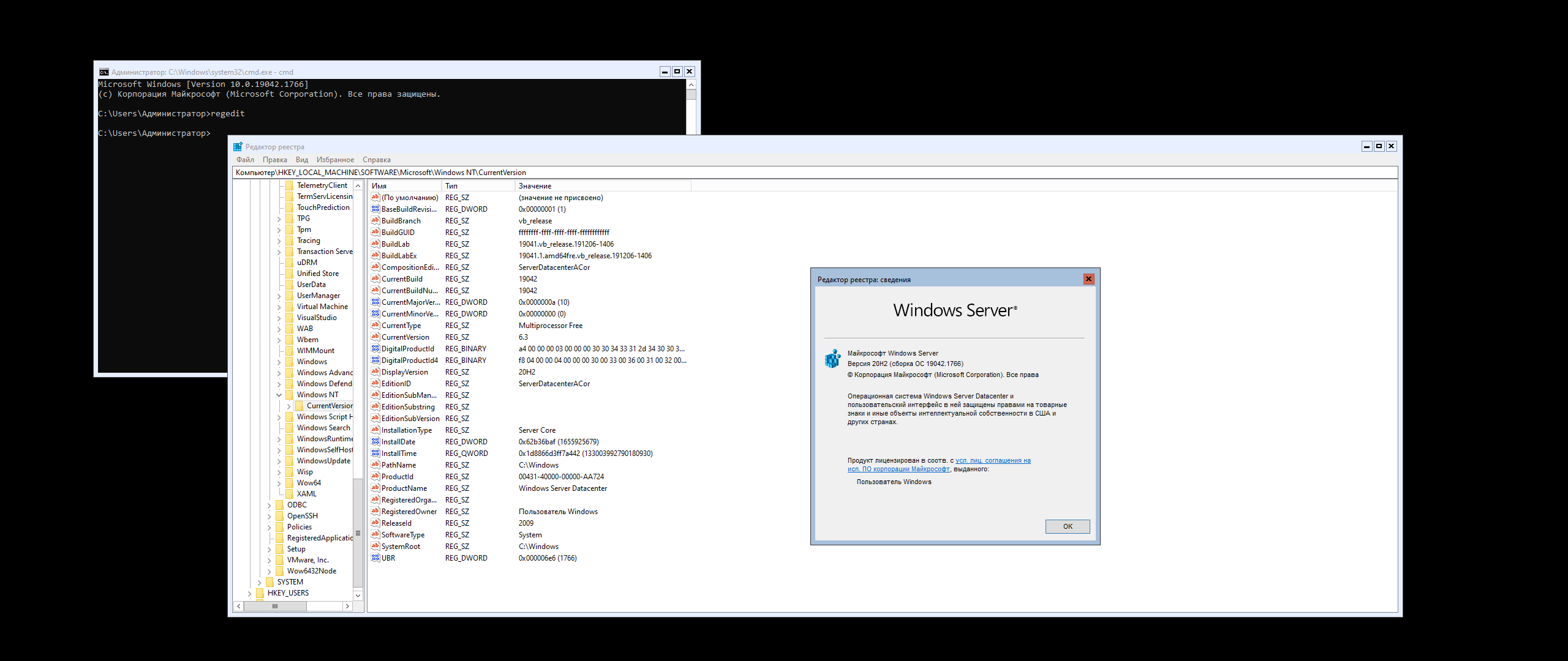 Windows Server, Version 20H2 (10.0.19042.1766) (Updated June 2022) - Оригинальные образы от Microsoft MSDN [Ru/En]
