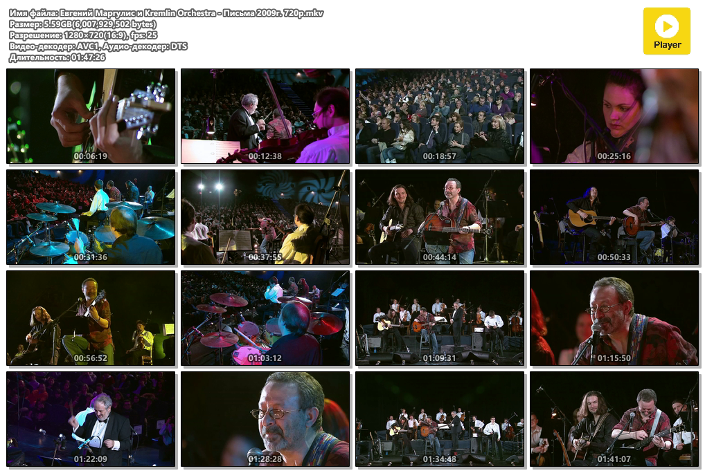 Евгений Маргулис и Kremlin Orchestra - Письма 2009г. 720р.mkv.png