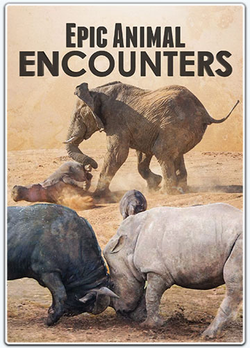     / Epic Animal Encounters [1 ] (2019) WEBRip 720p | P