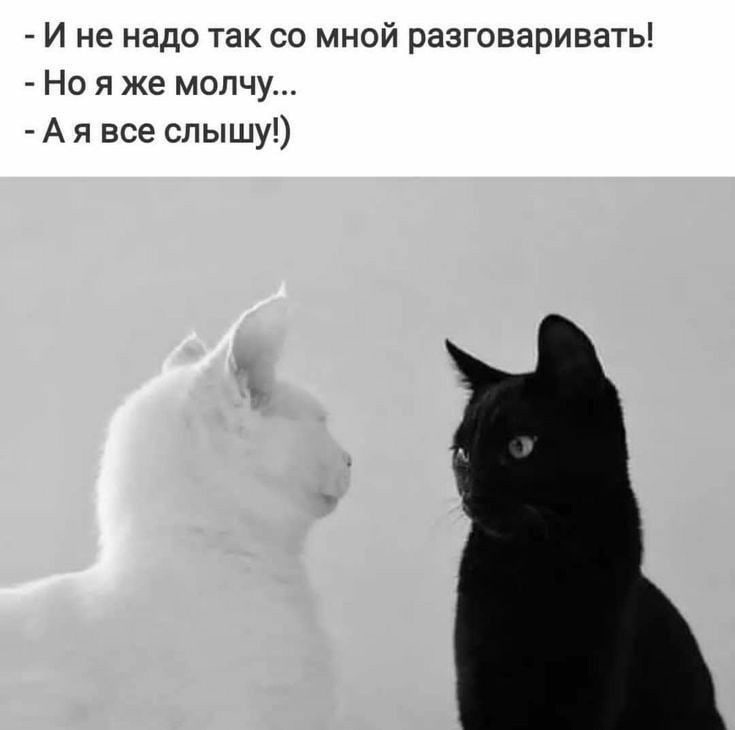 I23X45byQfU.jpg