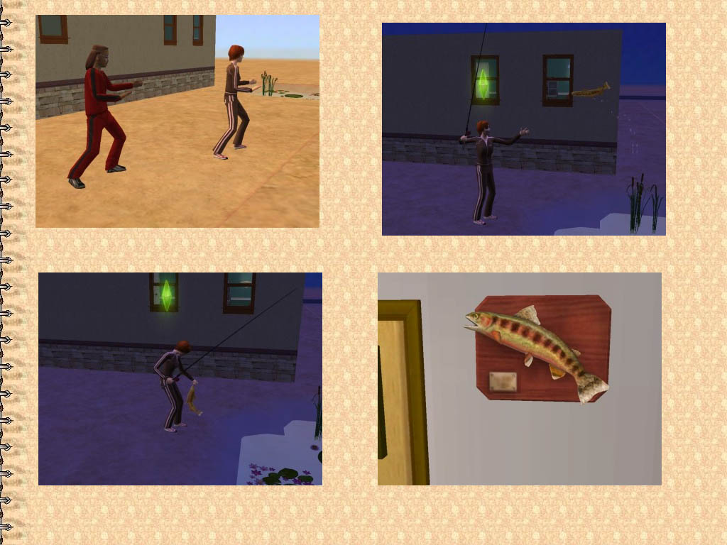 snapshot_568e53e8_769f2fed.jpg