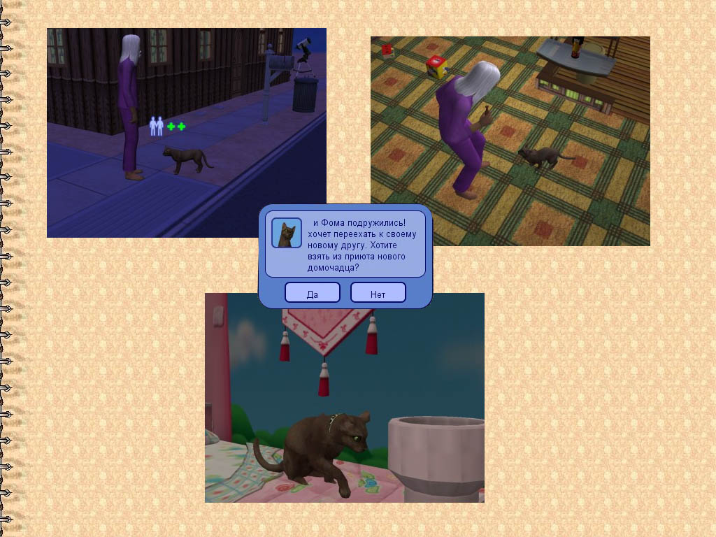 snapshot_76756960_569bb6d9.jpg