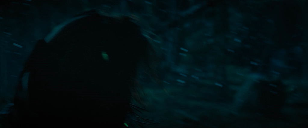Prey.2022.MVO.NewComers.X264.WEB-DLRip-AVC.[wolf1245.ExKinoRay].mkv_20220808_221636.212.png